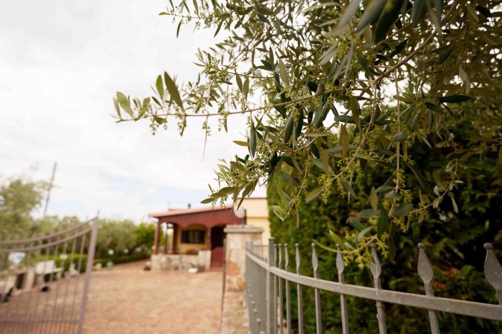 Villa Mario Mottola Exterior foto